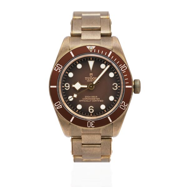 Tudor Black Bay 58 M79012M-0001